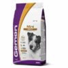Gemon Puppy/Adult Mini