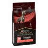 Purina Pro Plan Veterinary Diets Dm Diabetes Management