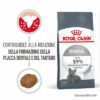 Royal Canin Dental Care Gatto