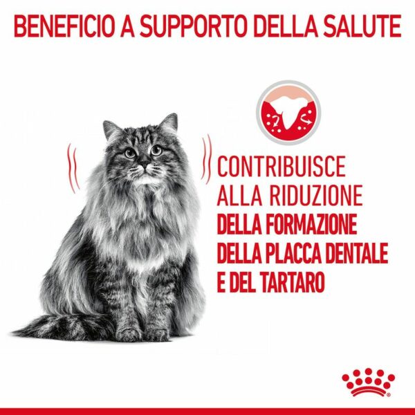 Royal Canin Dental Care Gatto