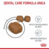 Royal Canin Dental Care Gatto