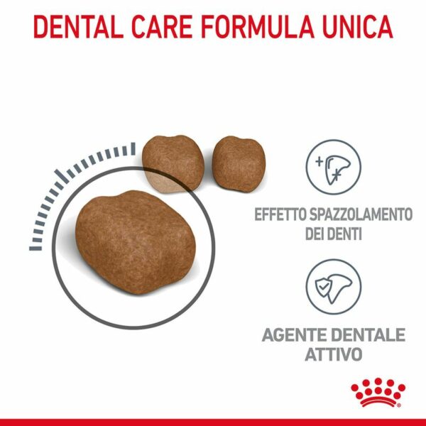 Royal Canin Dental Care Gatto