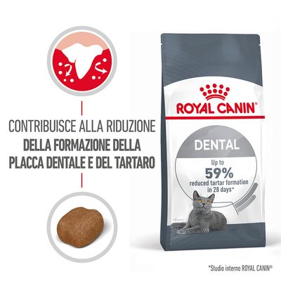 Royal Canin Dental Care Gatto