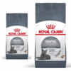 Royal Canin Dental Care Gatto