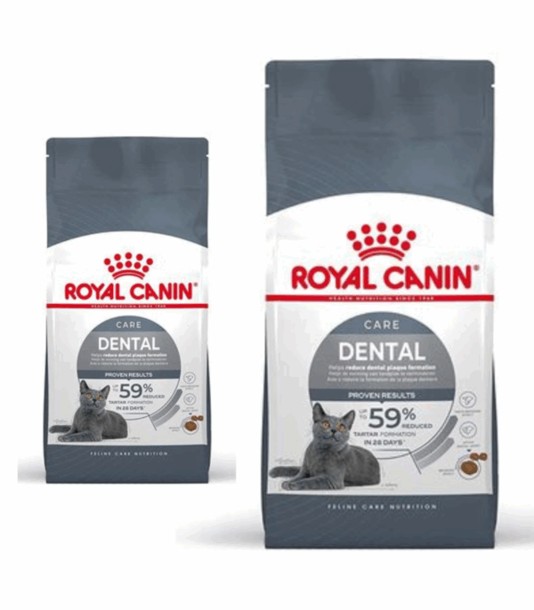 Royal Canin Dental Care Gatto