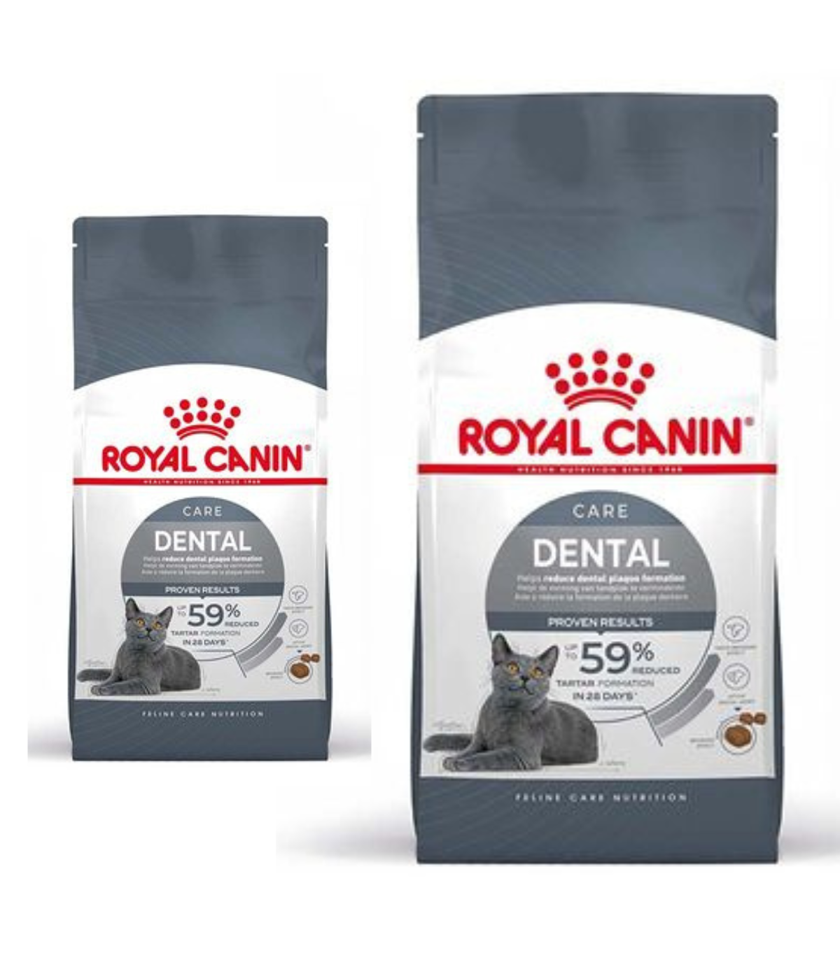Royal Canin Dental Care Gatto