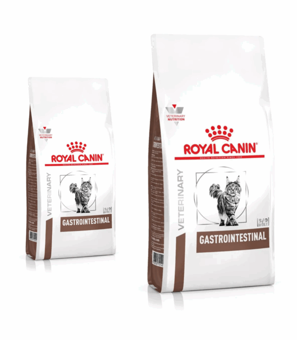 Royal Canin Gastrointestinal Gatto