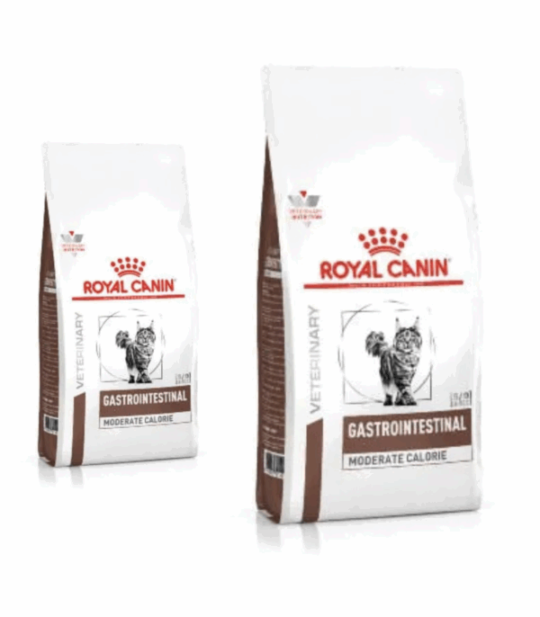Royal Canin Gastrointestinal MC Gatto