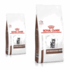 Royal Canin Gastrointestinal Kitten Gatto