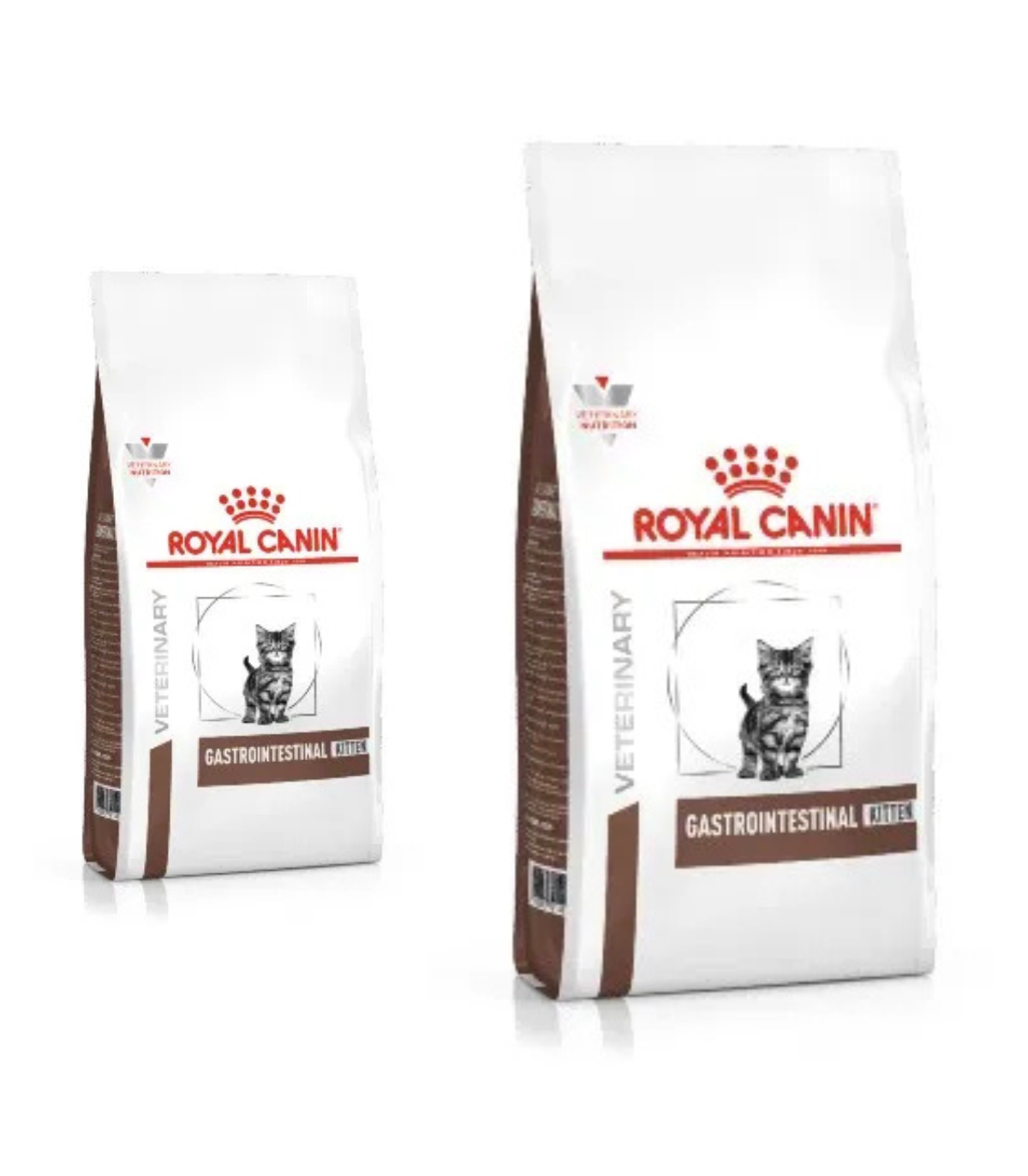Royal Canin Gastrointestinal Kitten Gatto