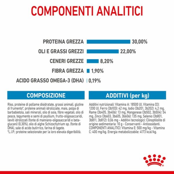 Royal Canin Giant Starter Mother & Babydog