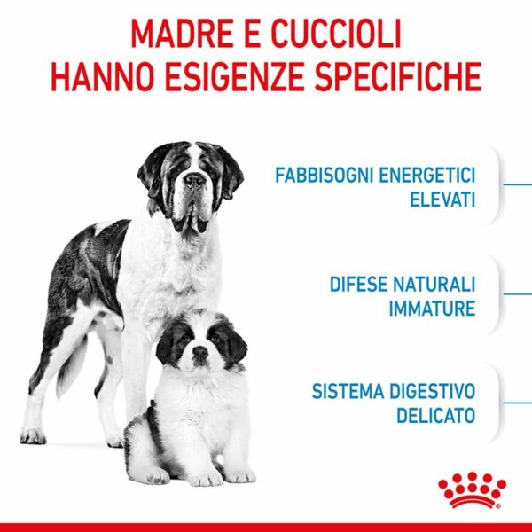 Royal Canin Giant Starter Mother & Babydog