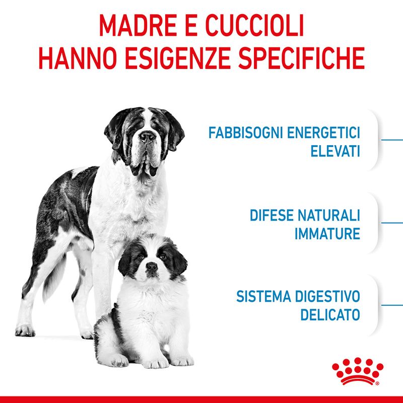 Royal Canin Giant Starter Mother & Babydog