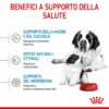 Royal Canin Giant Starter Mother & Babydog