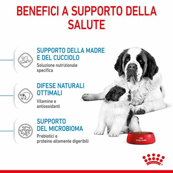 Royal Canin Giant Starter Mother & Babydog