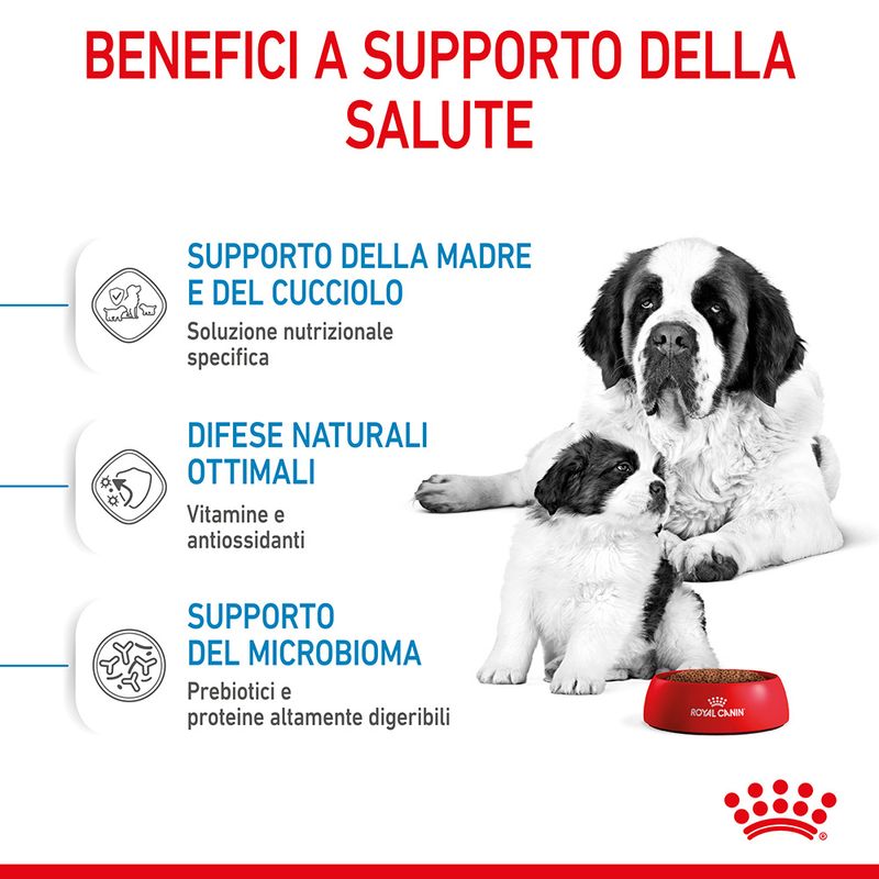 Royal Canin Giant Starter Mother & Babydog