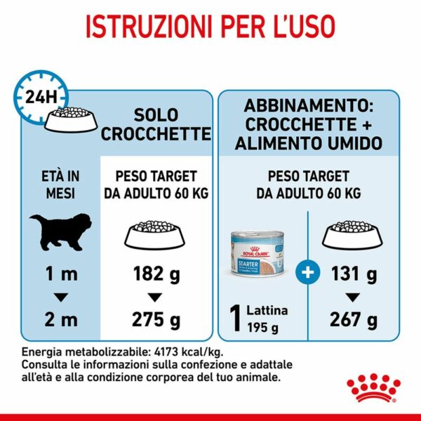 Royal Canin Giant Starter Mother & Babydog