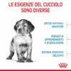Royal Canin Medium Puppy