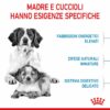 Royal Canin Medium Starter Mother & Babydog