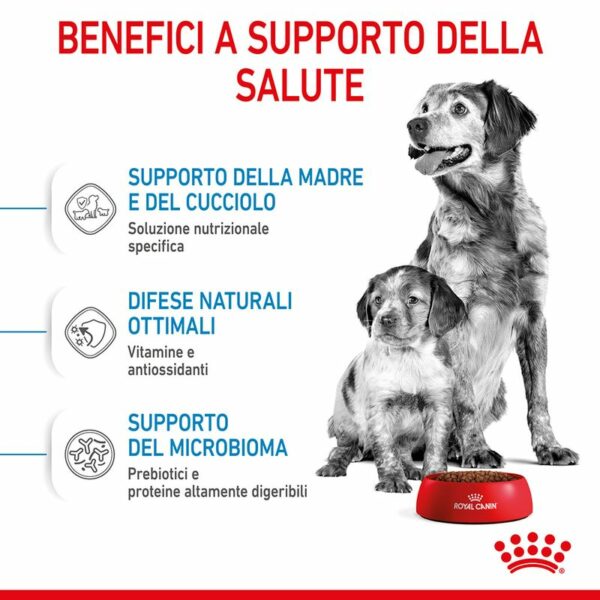 Royal Canin Medium Starter Mother & Babydog