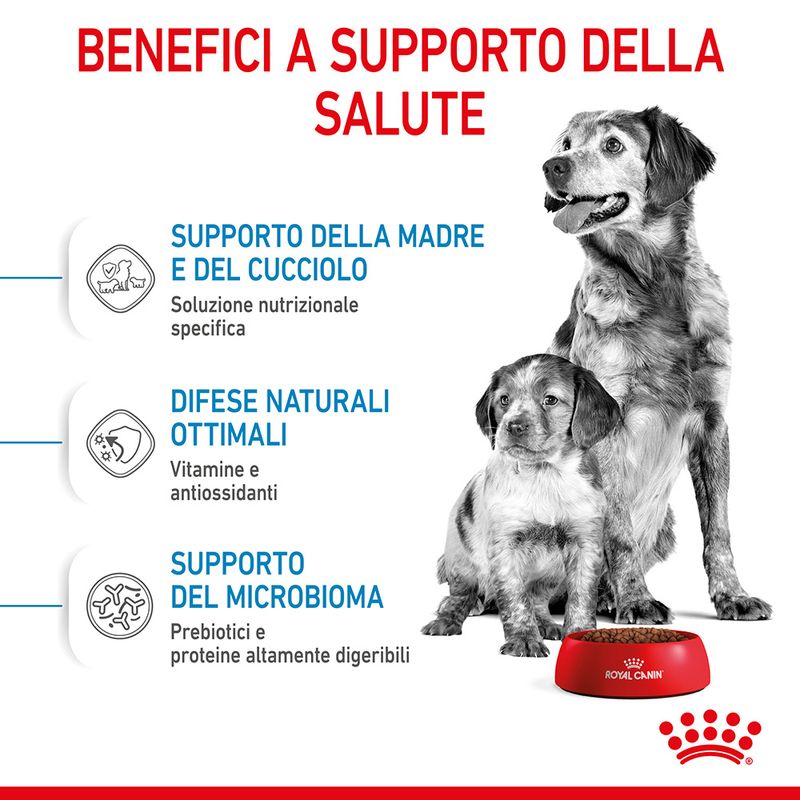 Royal Canin Medium Starter Mother & Babydog
