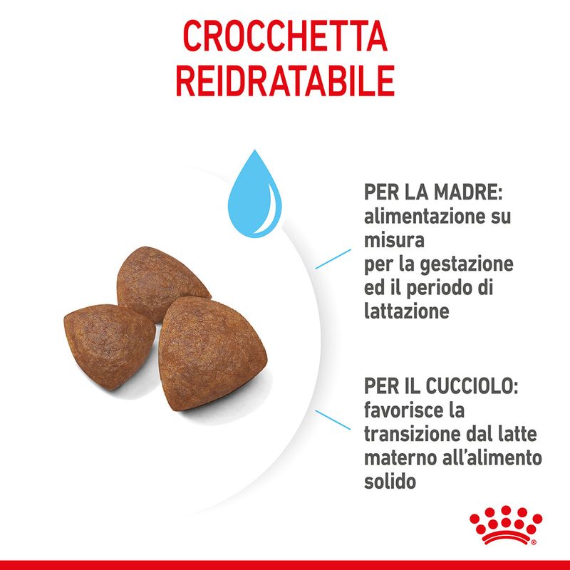 Royal Canin Medium Starter Mother & Babydog
