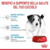 Royal Canin Mini Puppy