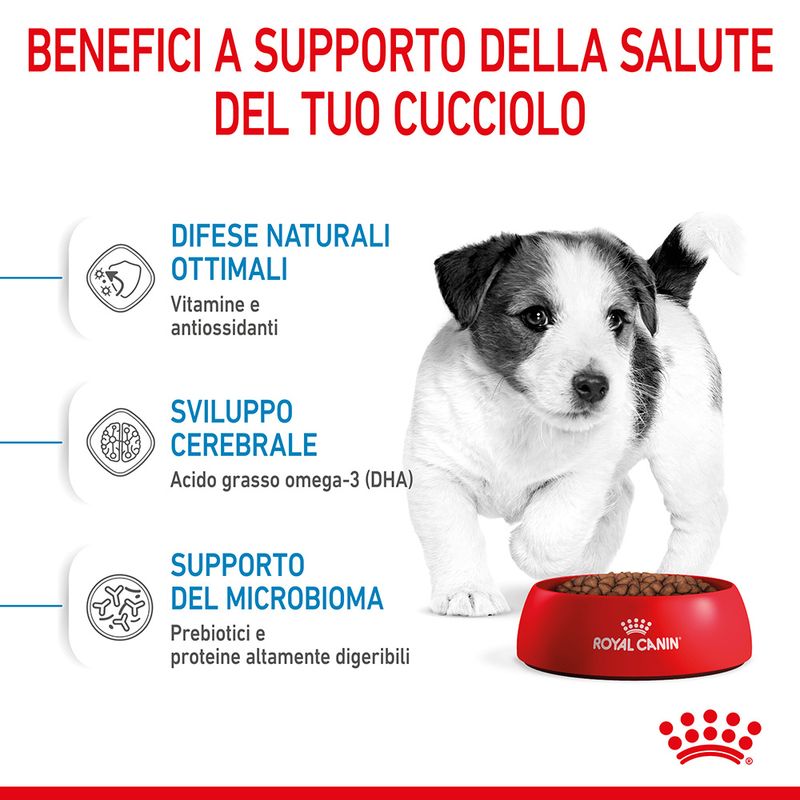Royal Canin Mini Puppy