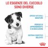 Royal Canin Mini Puppy