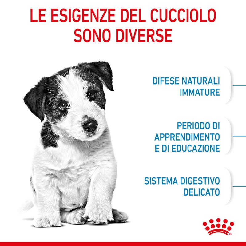 Royal Canin Mini Puppy