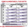 Royal Canin Neutered Satiety Gatto