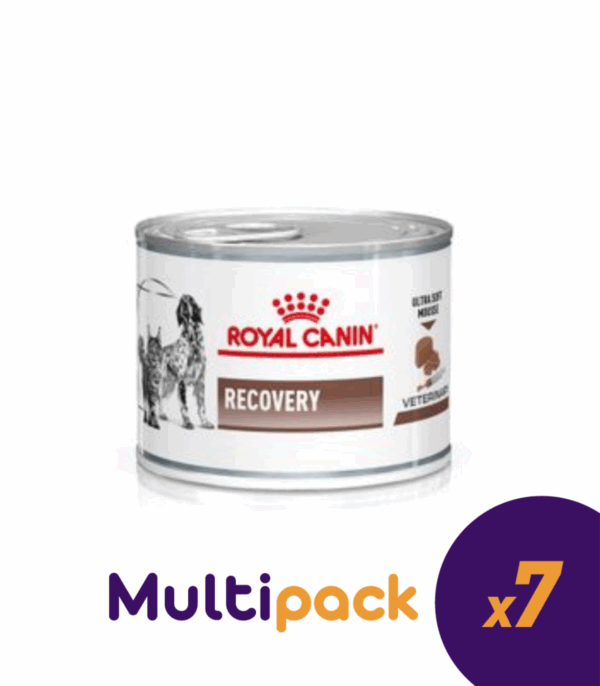 Royal Canin Recovery Veterinary Mousse Cane e Gatto