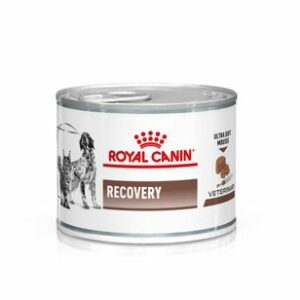 Royal Canin Recovery Veterinary Mousse Cane e Gatto