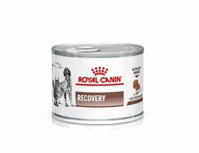 Royal Canin Recovery Veterinary Mousse Cane e Gatto