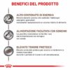 Royal Canin Recovery Veterinary Mousse Cane e Gatto