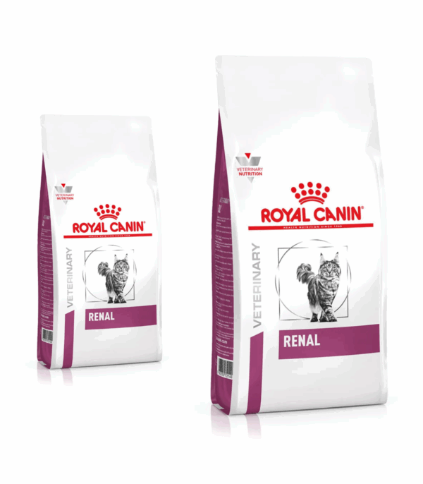 Royal Canin Renal Gatto