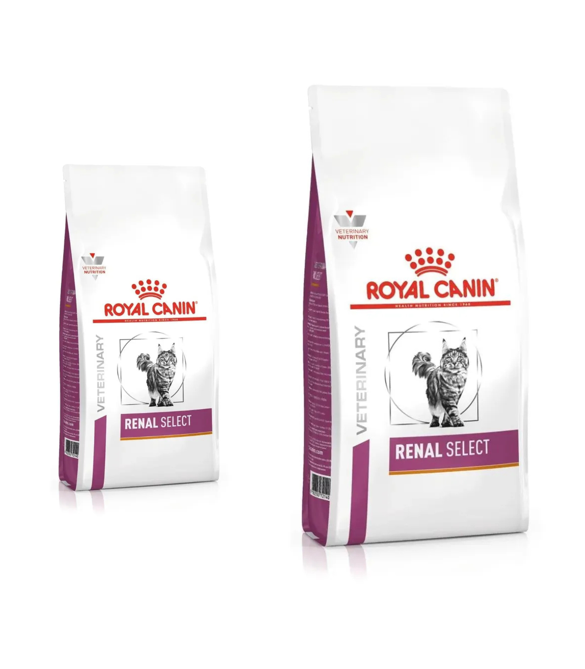 Royal Canin Renal Select Gatto