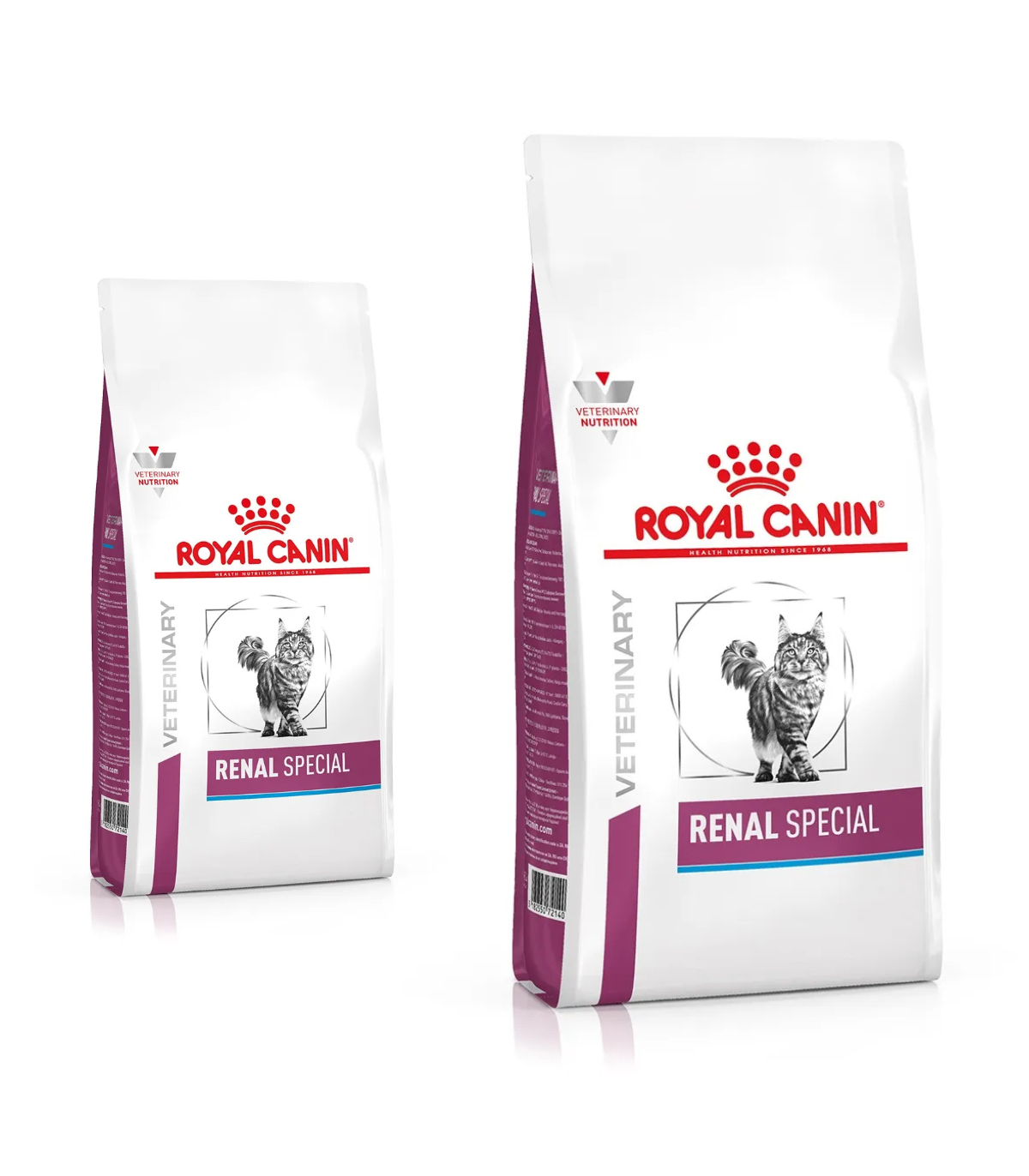 Royal Canin Renal Special Gatto