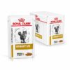 Royal Canin Urinary S/O Sfilaccetti Multipack