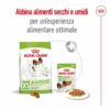 Royal Canin X-Small Ageing 12+