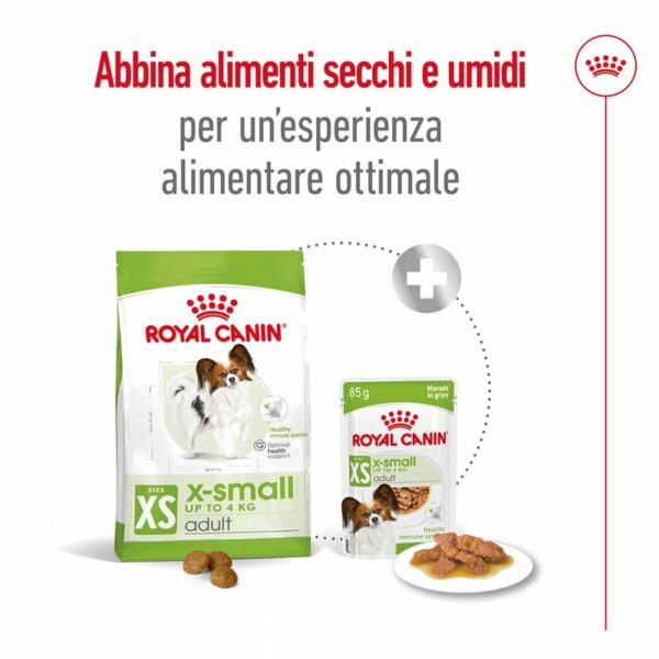 Royal Canin X-Small Ageing 12+