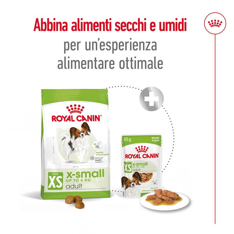 Royal Canin X-Small Ageing 12+