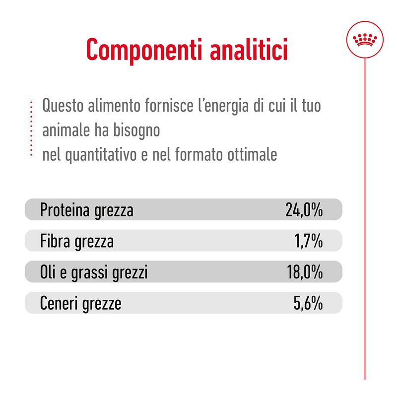 Royal Canin X-Small Adult