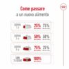 Royal Canin Mini Adult