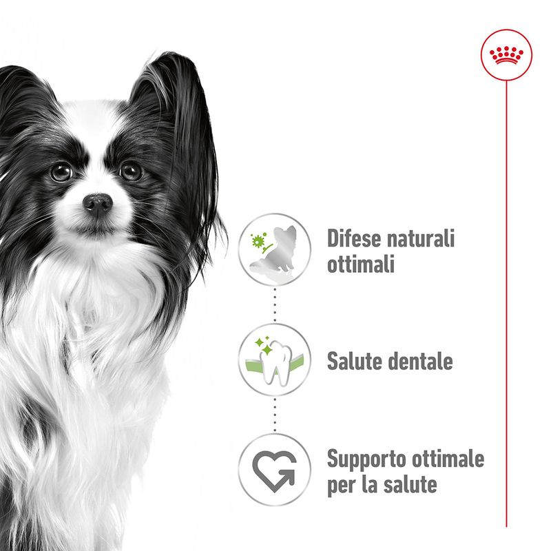Royal Canin X-Small Ageing 12+