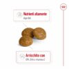 Royal Canin X-Small Ageing 12+