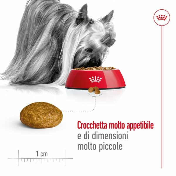 Royal Canin X-Small Ageing 12+