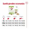Royal Canin X-Small Adult