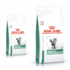Royal Canin Diabetic Gatto