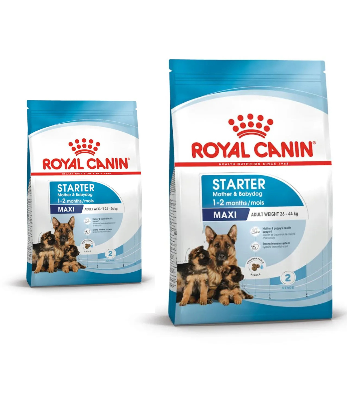 Royal Canin Starter Maxi Mother & Babydog